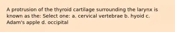 A protrusion of the thyroid cartilage surrounding the larynx is known as the: Select one: a. cervical vertebrae b. hyoid c. Adam's apple d. occipital