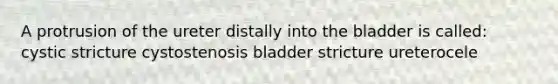 A protrusion of the ureter distally into the bladder is called: cystic stricture cystostenosis bladder stricture ureterocele