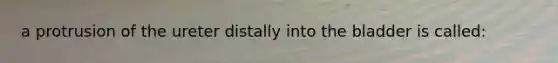 a protrusion of the ureter distally into the bladder is called: