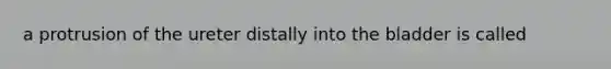 a protrusion of the ureter distally into the bladder is called