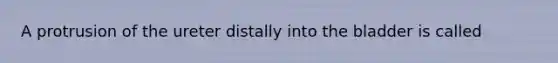 A protrusion of the ureter distally into the bladder is called