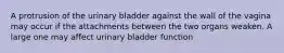 A protrusion of the urinary bladder against the wall of the vagina may occur if the attachments between the two organs weaken. A large one may affect urinary bladder function