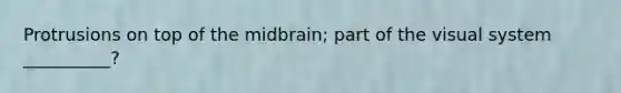 Protrusions on top of the midbrain; part of the visual system __________?