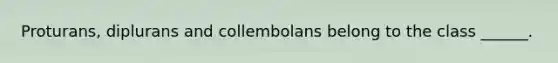 Proturans, diplurans and collembolans belong to the class ______.