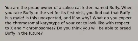 You are the proud owner of a calico cat kitten named Buffy. When you take Buffy to the vet for its first visit, you find out that Buffy is a male! Is this unexpected, and if so why? What do you expect the chromosomal karyotype of your cat to look like with respect to X and Y chromosomes? Do you think you will be able to breed Buffy in the future?