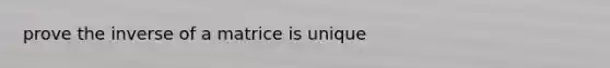 prove the inverse of a matrice is unique