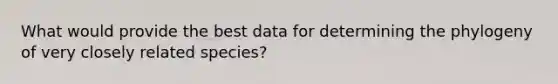 What would provide the best data for determining the phylogeny of very closely related species?