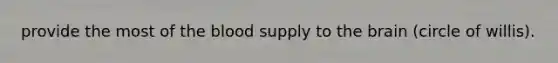 provide the most of the blood supply to the brain (circle of willis).
