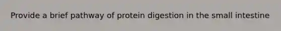 Provide a brief pathway of protein digestion in <a href='https://www.questionai.com/knowledge/kt623fh5xn-the-small-intestine' class='anchor-knowledge'>the small intestine</a>