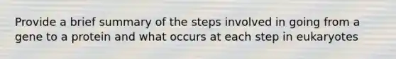 Provide a brief summary of the steps involved in going from a gene to a protein and what occurs at each step in eukaryotes