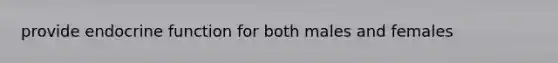 provide endocrine function for both males and females