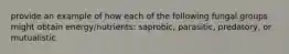 provide an example of how each of the following fungal groups might obtain energy/nutrients: saprobic, parasitic, predatory, or mutualistic