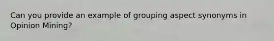 Can you provide an example of grouping aspect synonyms in Opinion Mining?