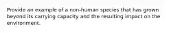 Provide an example of a non-human species that has grown beyond its carrying capacity and the resulting impact on the environment.