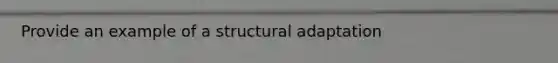 Provide an example of a structural adaptation