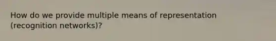 How do we provide multiple means of representation (recognition networks)?