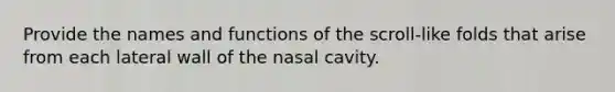 Provide the names and functions of the scroll-like folds that arise from each lateral wall of the nasal cavity.