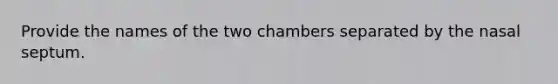 Provide the names of the two chambers separated by the nasal septum.