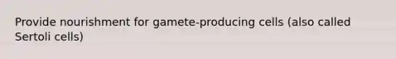 Provide nourishment for gamete-producing cells (also called Sertoli cells)