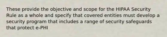 These provide the objective and scope for the HIPAA Security Rule as a whole and specify that covered entities must develop a security program that includes a range of security safeguards that protect e-PHI
