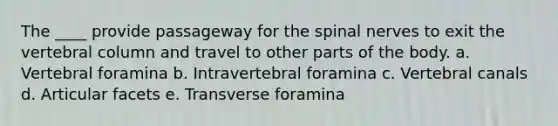 The ____ provide passageway for the spinal nerves to exit the vertebral column and travel to other parts of the body. a. Vertebral foramina b. Intravertebral foramina c. Vertebral canals d. Articular facets e. Transverse foramina