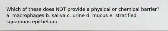 Which of these does NOT provide a physical or chemical barrier? a. macrophages b. saliva c. urine d. mucus e. stratified squamous epithelium