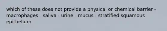 which of these does not provide a physical or chemical barrier - macrophages - saliva - urine - mucus - stratified squamous epithelium