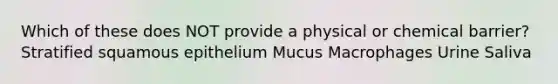 Which of these does NOT provide a physical or chemical barrier? Stratified squamous epithelium Mucus Macrophages Urine Saliva