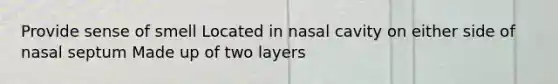 Provide sense of smell Located in nasal cavity on either side of nasal septum Made up of two layers