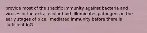 provide most of the specific immunity against bacteria and viruses in the extracellular fluid. Illuminates pathogens in the early stages of b cell mediated immunity before there is sufficient IgG