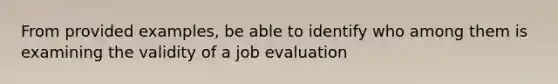 From provided examples, be able to identify who among them is examining the validity of a job evaluation