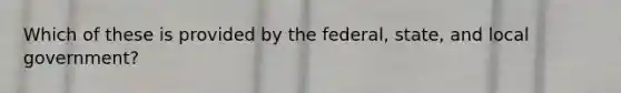 Which of these is provided by the federal, state, and local government?