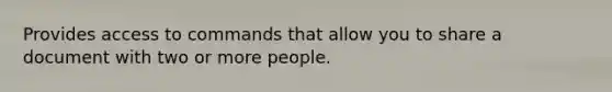 Provides access to commands that allow you to share a document with two or more people.