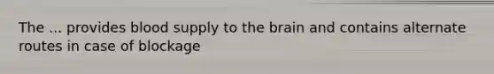 The ... provides blood supply to the brain and contains alternate routes in case of blockage