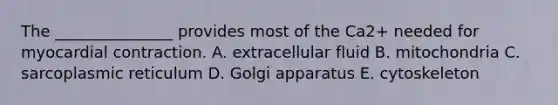 The _______________ provides most of the Ca2+ needed for myocardial contraction. A. extracellular fluid B. mitochondria C. sarcoplasmic reticulum D. Golgi apparatus E. cytoskeleton