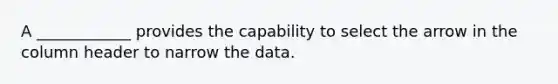 A ____________ provides the capability to select the arrow in the column header to narrow the data.