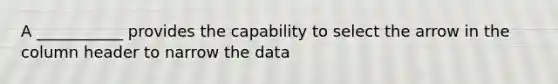 A ___________ provides the capability to select the arrow in the column header to narrow the data