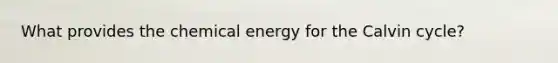 What provides the chemical energy for the Calvin cycle?