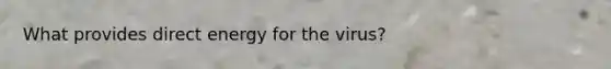 What provides direct energy for the virus?
