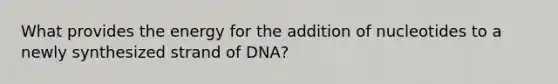 What provides the energy for the addition of nucleotides to a newly synthesized strand of DNA?