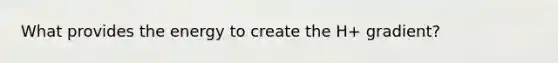 What provides the energy to create the H+ gradient?