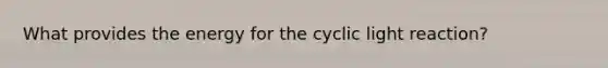 What provides the energy for the cyclic light reaction?