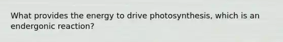 What provides the energy to drive photosynthesis, which is an endergonic reaction?