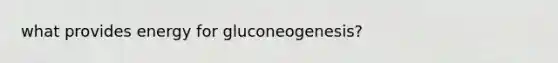 what provides energy for gluconeogenesis?