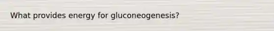 What provides energy for gluconeogenesis?