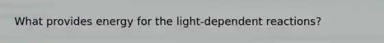 What provides energy for the light-dependent reactions?