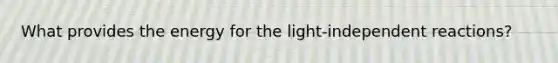 What provides the energy for the light-independent reactions?