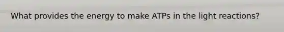 What provides the energy to make ATPs in the light reactions?