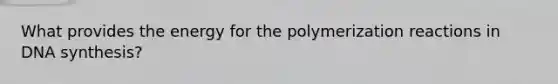 What provides the energy for the polymerization reactions in DNA synthesis?