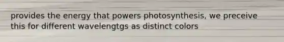 provides the energy that powers photosynthesis, we preceive this for different wavelengtgs as distinct colors